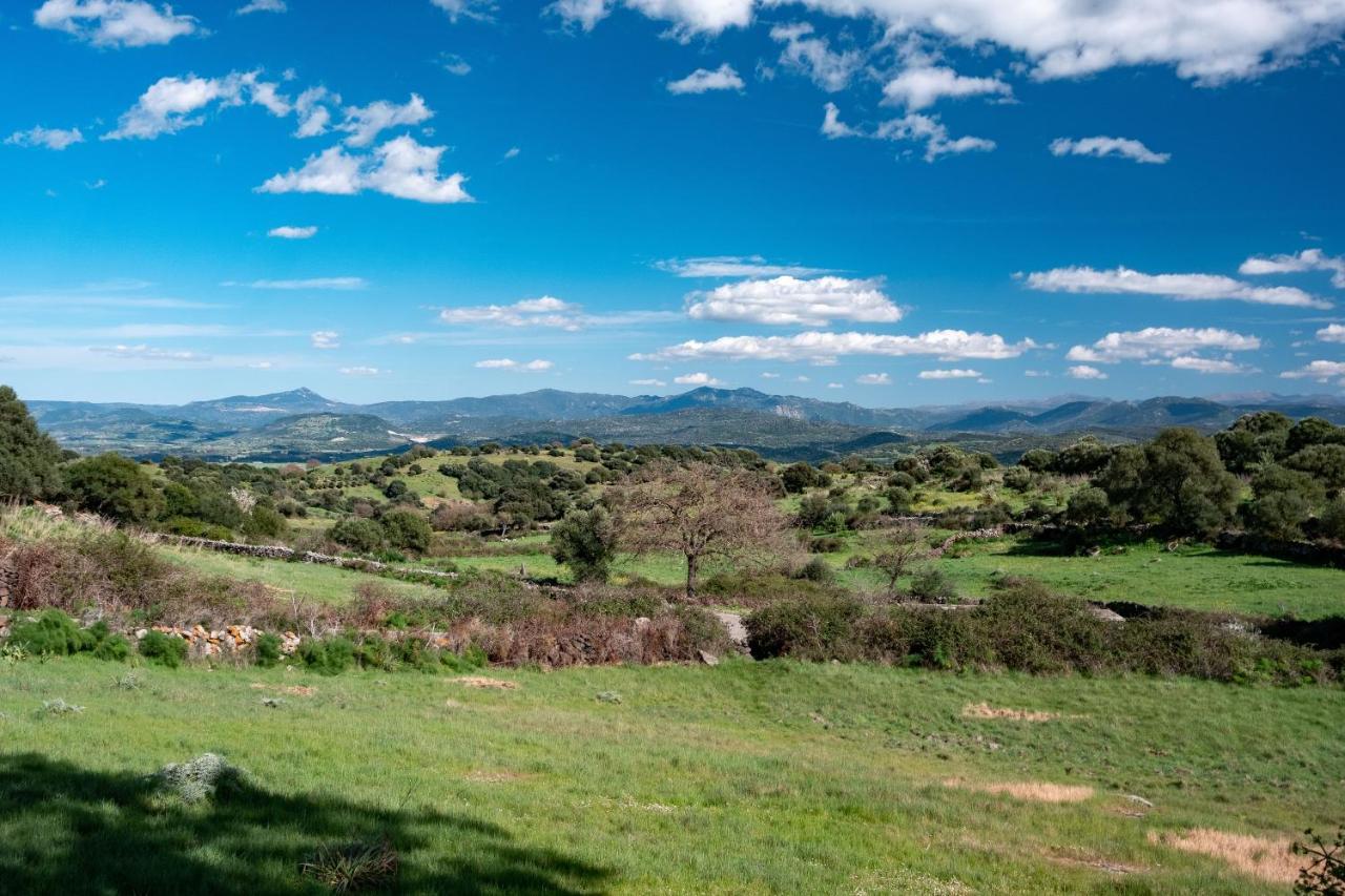 Binzas Betzas Agriturismo Sedilo Buitenkant foto
